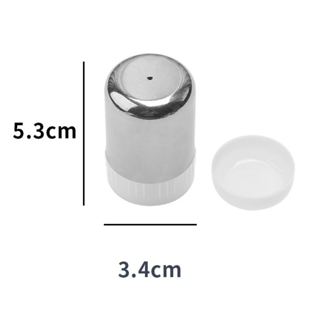 Small Stainless Steel Seasonin - Outdoor Camping Bbq recensie en prijs