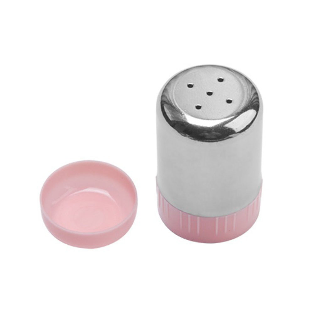 Small Stainless Steel Seasonin - Outdoor Camping Bbq recensie en prijs