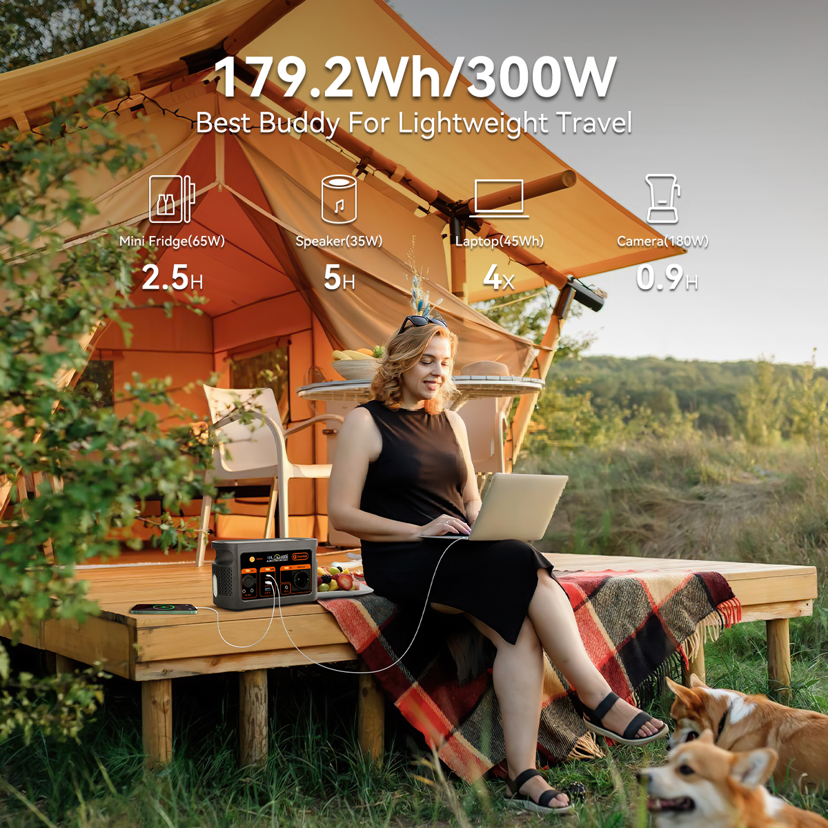 300W pure sine wave solar gene - Portable Power Station recensie en prijs