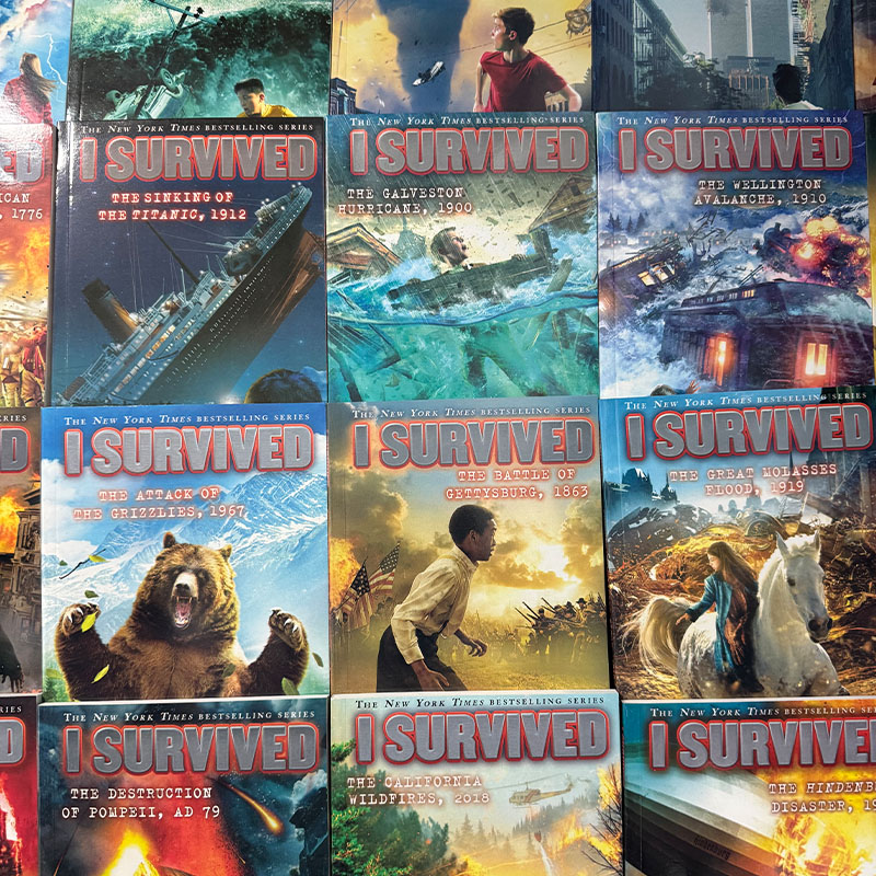 22 Books/set I Survived Englis - Survival Kit recensie en prijs