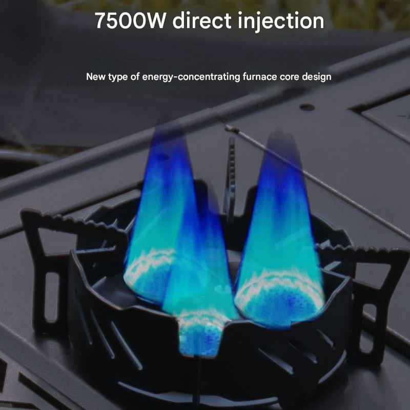 Mini Split Gas Stove Half Unit - Outdoor Camping Cooking Table recensie en prijs